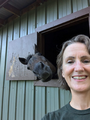 Meet Horse Face