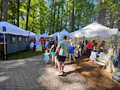 image-of-event-roswell-arts-festival-ga-2024