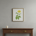 gerbera-plant-print thumbnail 2