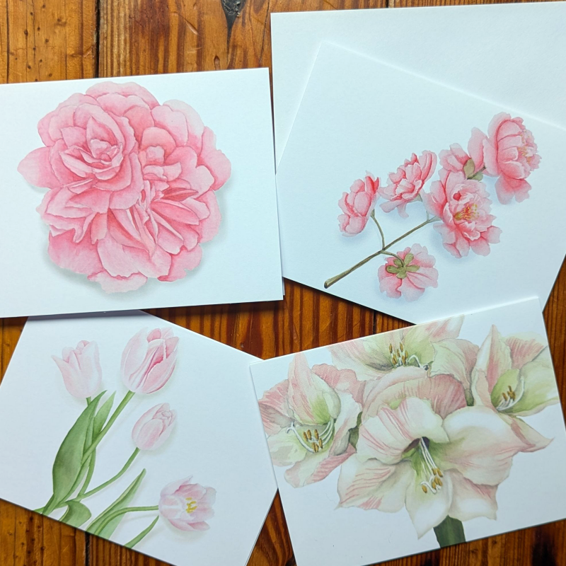 amaryllis-notecards