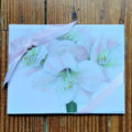 pinks-notecards thumbnail 2