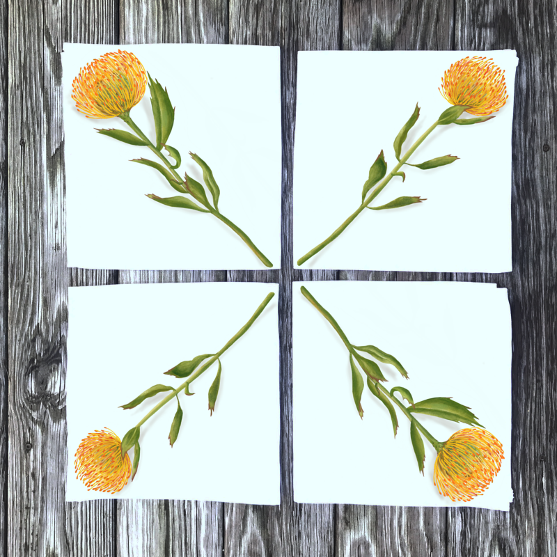 protia-dinner-napkins