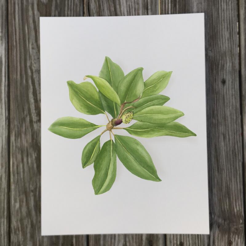 magnolia-stem-print