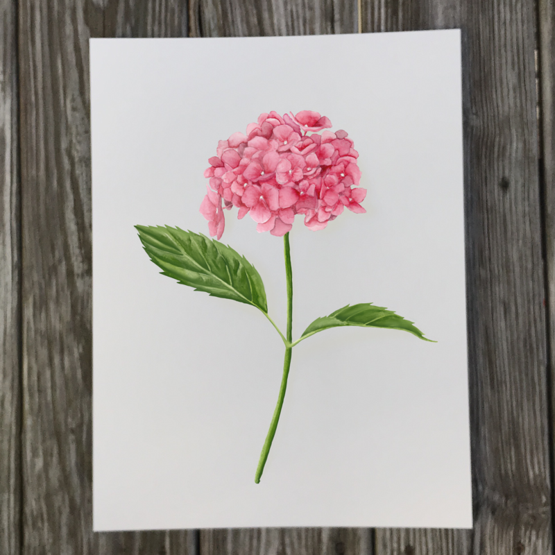 pink-hydrangea-print