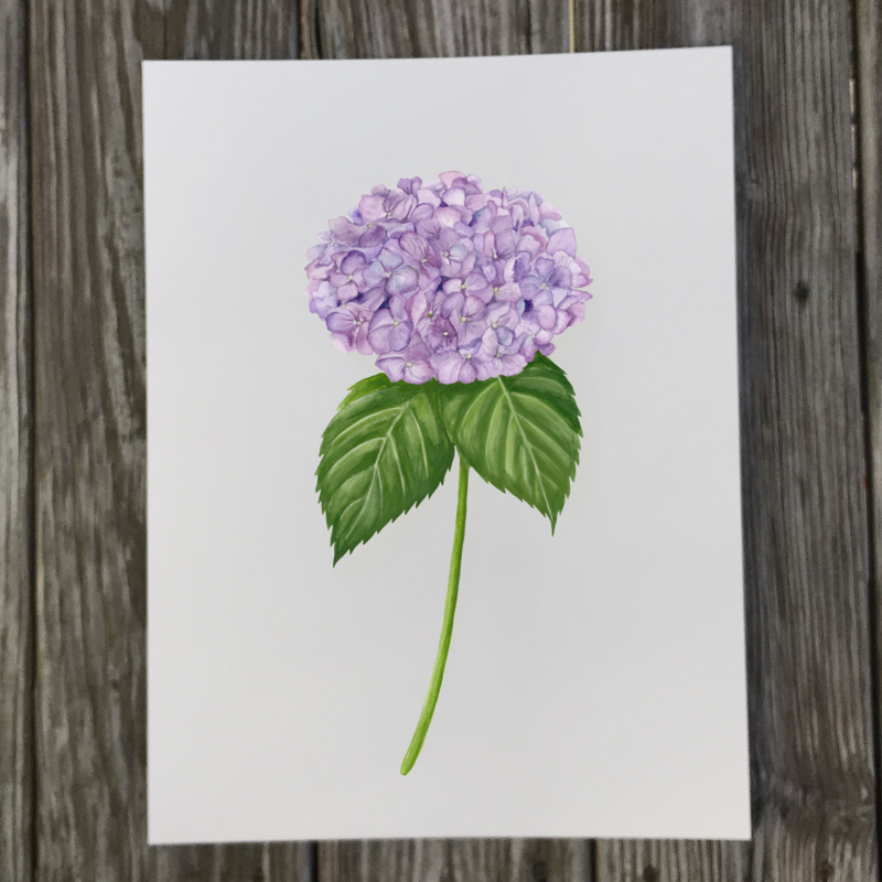 purple-hydrangea-print