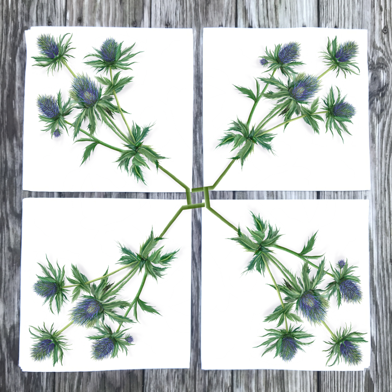 kew-thistle-dinner-napkins