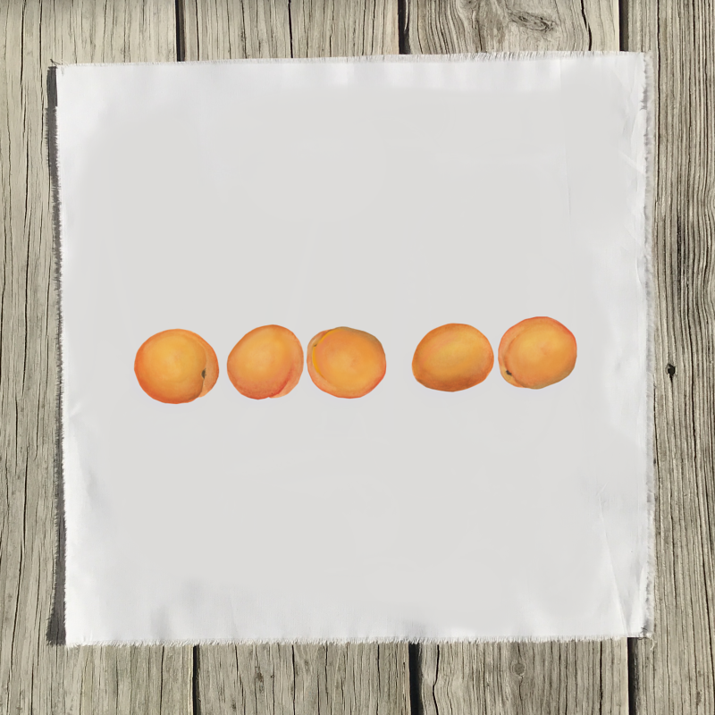 apricots-quilt-square