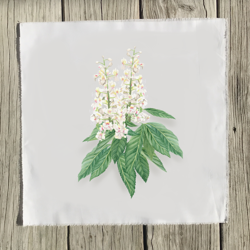 horse-chestnut-quilt-square