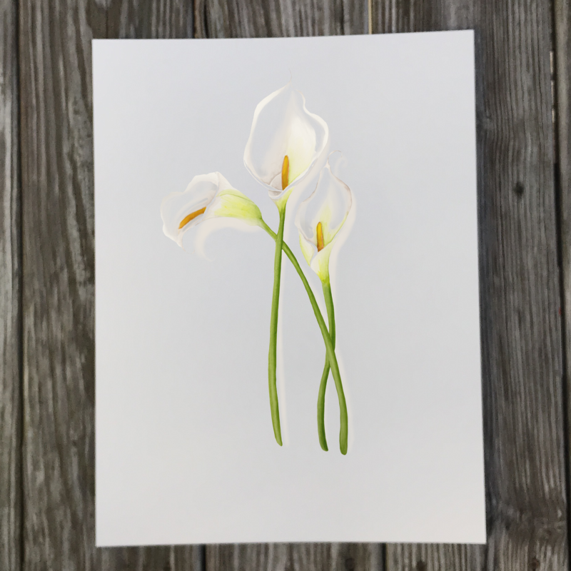 calla-lily-paper-print