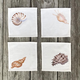 shell-cocktail-napkins thumbnail 1