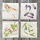 veggie-cocktail-napkins thumbnail 1