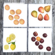 assorted-fruit-napkins-2 thumbnail 1