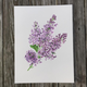 lilac-print thumbnail 1