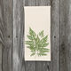 fern-hand-towel thumbnail 1
