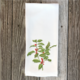 holly-hand-towel thumbnail 1