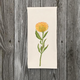 protia-handtowel thumbnail 1