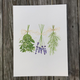 herb-1-print thumbnail 1