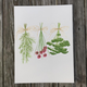 herb-2-print thumbnail 1