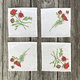 ranunculus-cocktail-napkins thumbnail 1