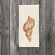 shell-3-handtowel thumbnail 1
