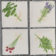 assorted-herb-canvas-napkins thumbnail 1