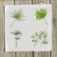 tropical-1-set-of-four-quilt-square thumbnail 1