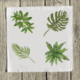 tropical-2-set-of-four-quilt-square thumbnail 1
