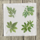 tropical-3-set-of-four-quilt-square thumbnail 1