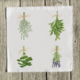 herbs-1-set-of-four thumbnail 1