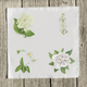 whites-2-set-of-four thumbnail 1