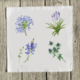 blue-2-set-of-four thumbnail 1